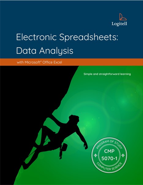 Electronic Spreadsheets: Data Analysis